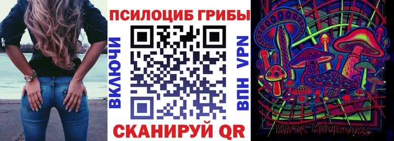 купить наркотики цена  Ильский  Псилоцибиновые грибы MAGIC MUSHROOMS 